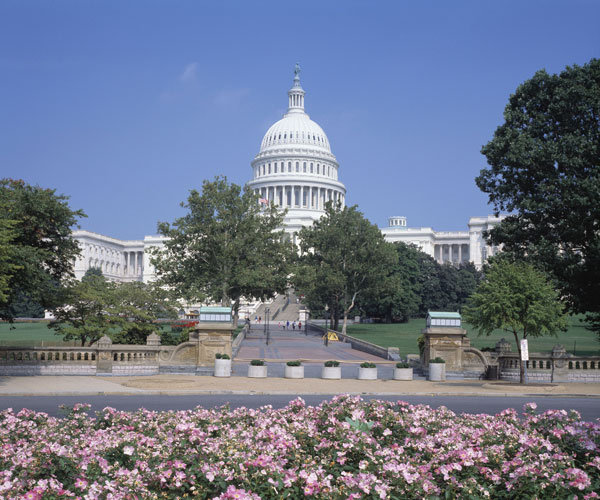 Buddy Walk on Washington